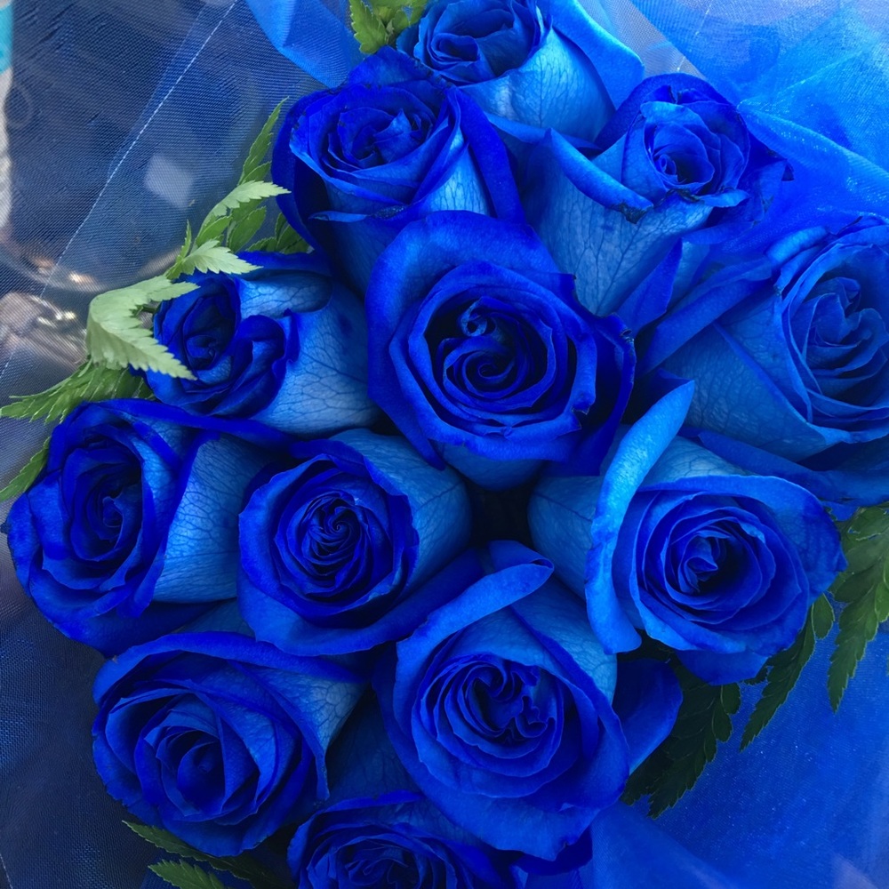 Meet your Posher, Nina